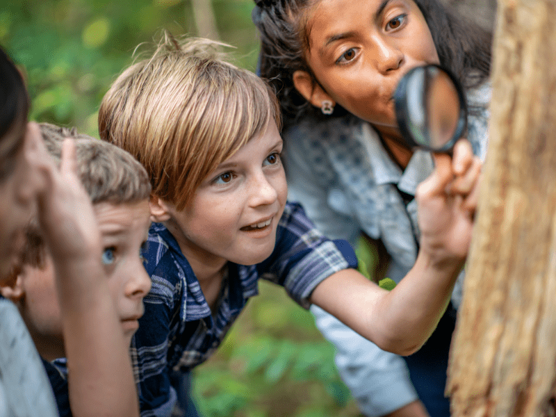 mindfulness activities for students