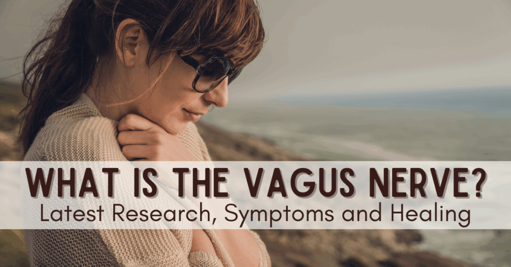what is the vagus nerve