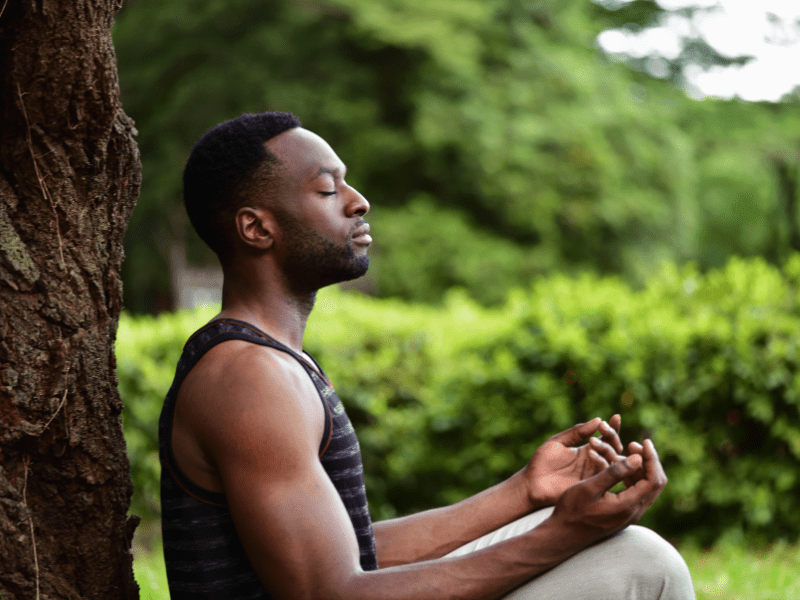 meditation and the brain