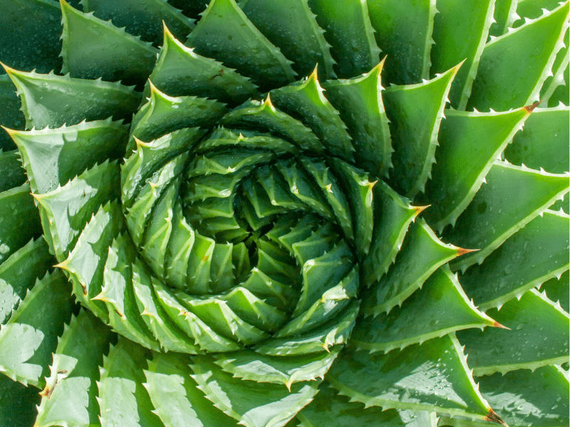 what is the frequency of the universe